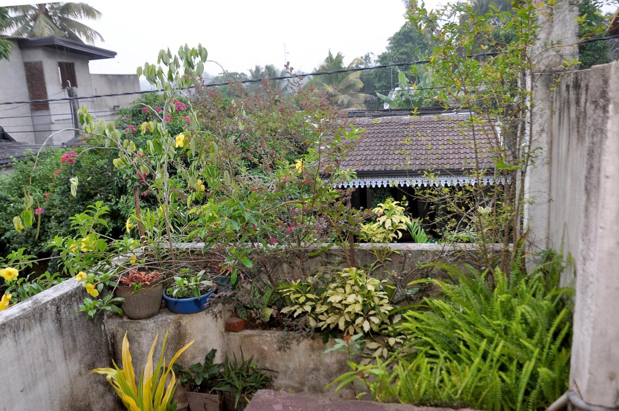 Golden Shower Inn Kandy Exterior foto